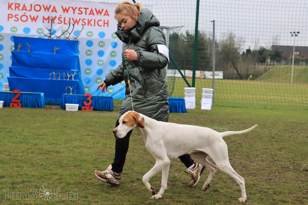 Krajowa Wystawa Psów Myśliwskich - Gniazdów g. Koziegłowy cz. 2