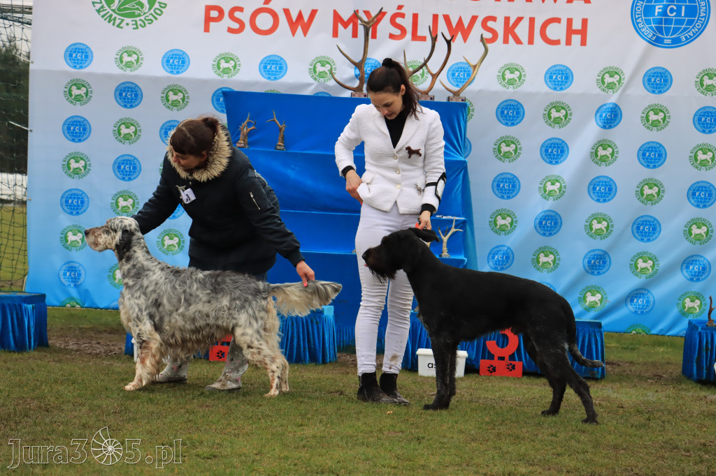 Krajowa Wystawa Psów Myśliwskich - Gniazdów g. Koziegłowy cz. 2