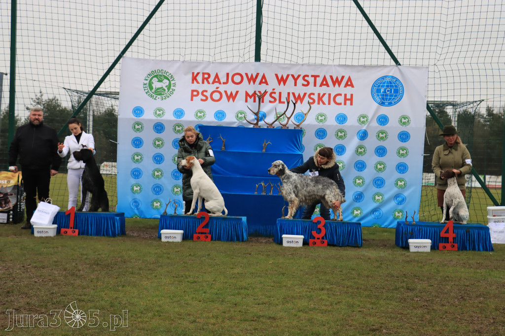 Krajowa Wystawa Psów Myśliwskich - Gniazdów g. Koziegłowy cz. 2