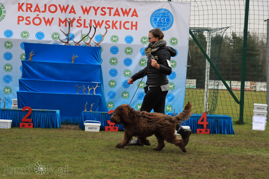 Krajowa Wystawa Psów Myśliwskich - Gniazdów g. Koziegłowy cz. 2