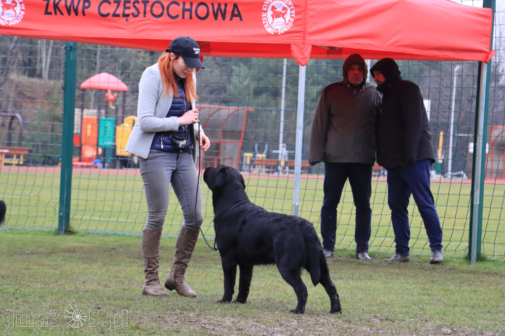 Krajowa Wystawa Psów Myśliwskich - Gniazdów g. Koziegłowy cz. 2