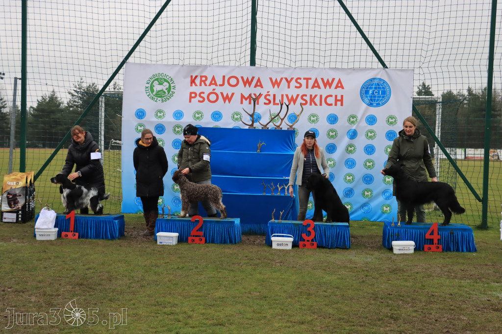 Krajowa Wystawa Psów Myśliwskich - Gniazdów g. Koziegłowy cz. 2