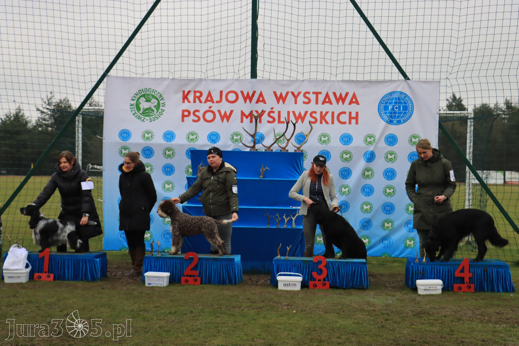 Krajowa Wystawa Psów Myśliwskich - Gniazdów g. Koziegłowy cz. 2