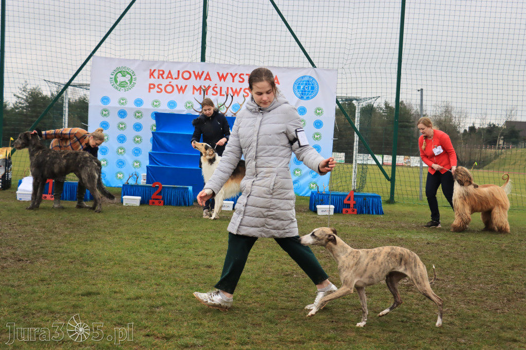 Krajowa Wystawa Psów Myśliwskich - Gniazdów g. Koziegłowy cz. 2