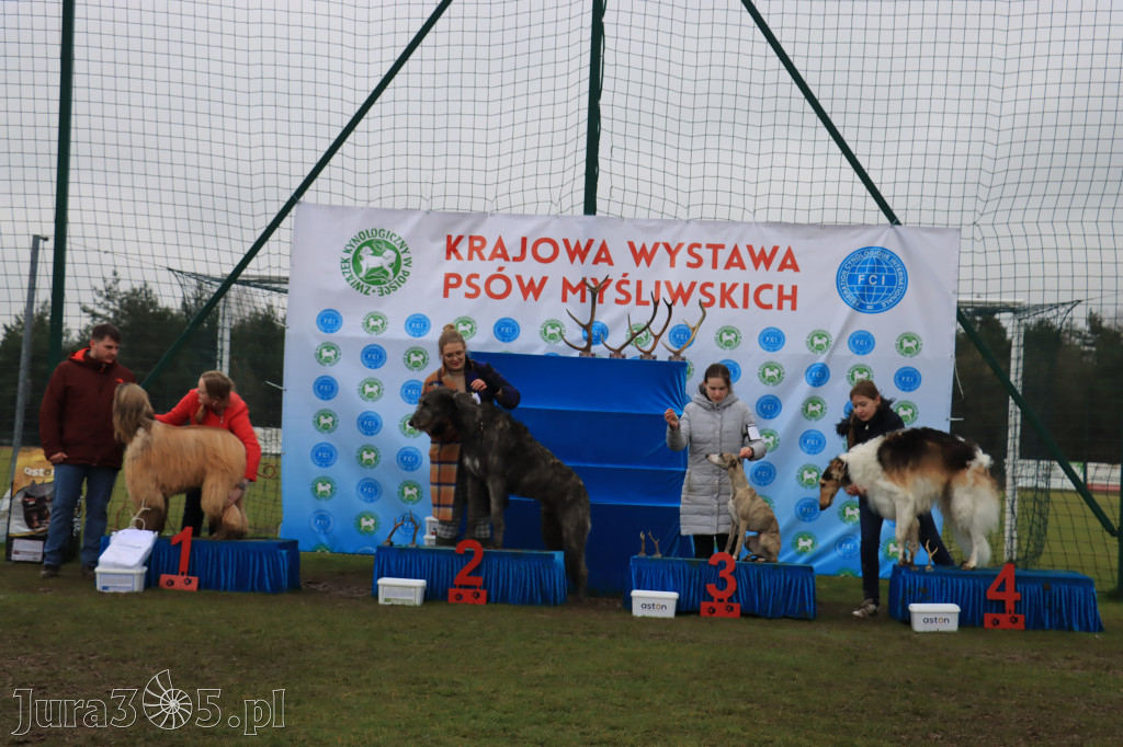 Krajowa Wystawa Psów Myśliwskich - Gniazdów g. Koziegłowy cz. 2