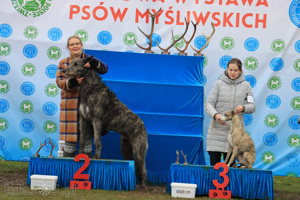 Krajowa Wystawa Psów Myśliwskich - Gniazdów g. Koziegłowy cz. 2