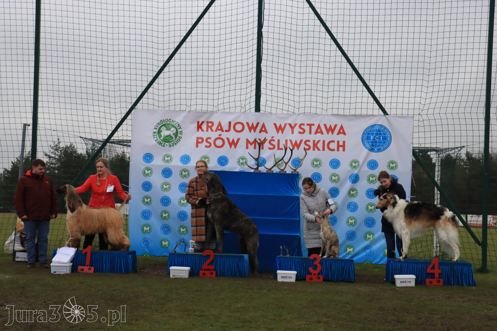 Krajowa Wystawa Psów Myśliwskich - Gniazdów g. Koziegłowy cz. 2