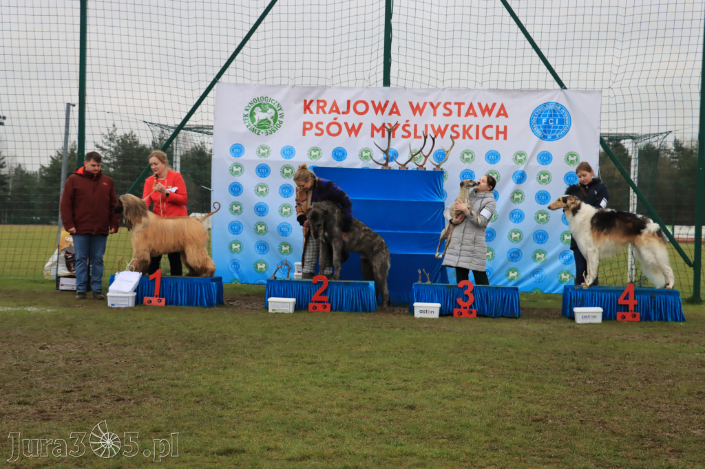 Krajowa Wystawa Psów Myśliwskich - Gniazdów g. Koziegłowy cz. 2