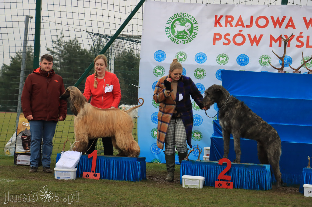Krajowa Wystawa Psów Myśliwskich - Gniazdów g. Koziegłowy cz. 2