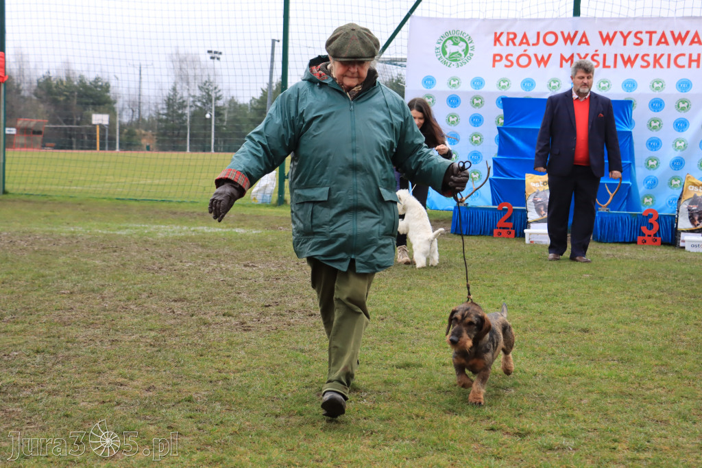 Krajowa Wystawa Psów Myśliwskich - Gniazdów g. Koziegłowy cz. 2