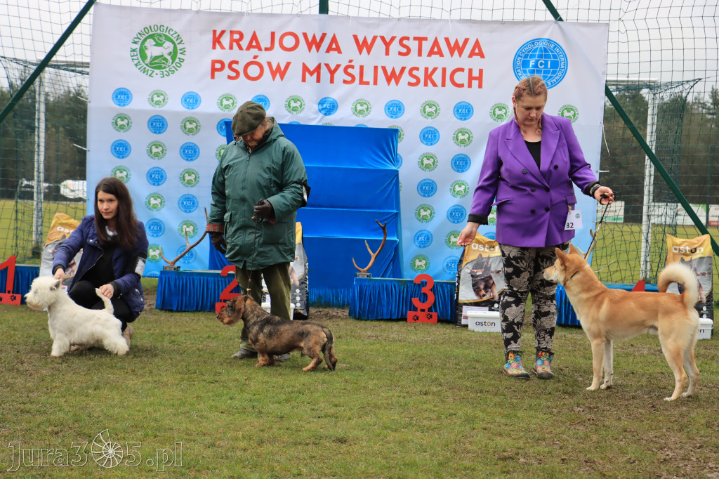 Krajowa Wystawa Psów Myśliwskich - Gniazdów g. Koziegłowy cz. 2
