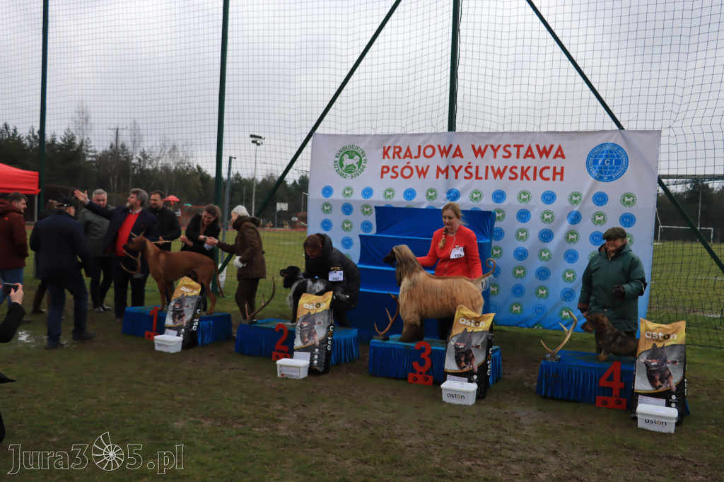 Krajowa Wystawa Psów Myśliwskich - Gniazdów g. Koziegłowy cz. 2