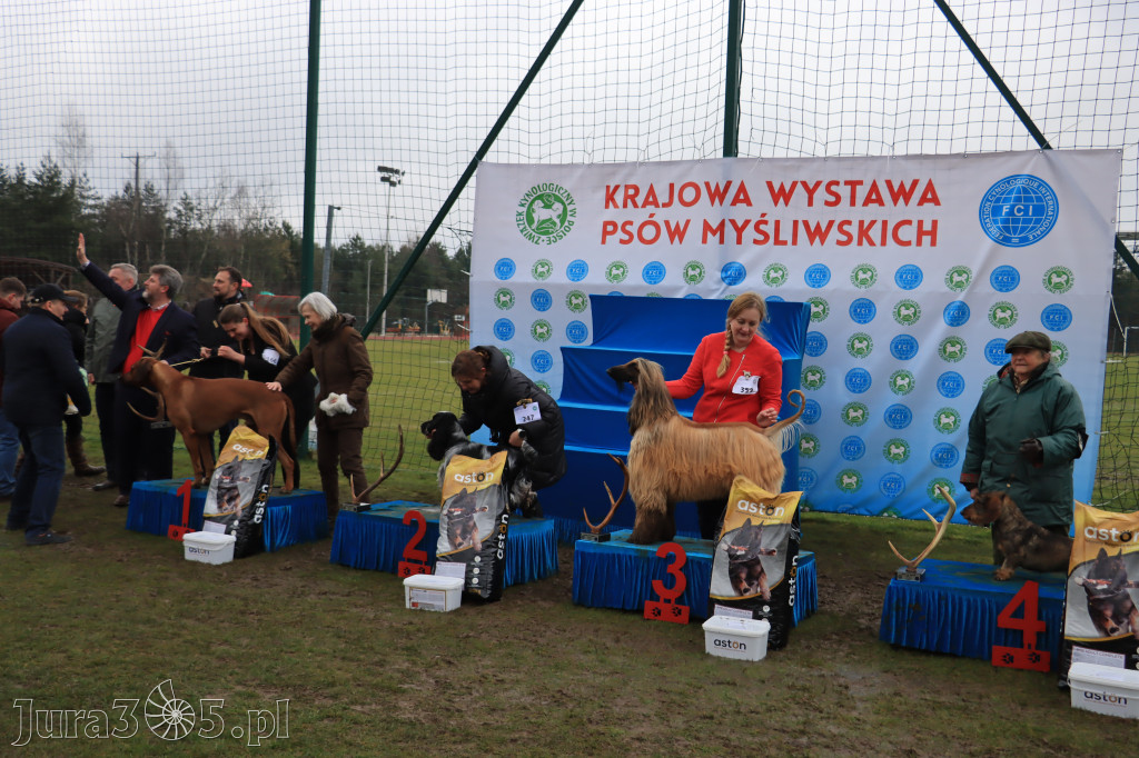 Krajowa Wystawa Psów Myśliwskich - Gniazdów g. Koziegłowy cz. 2