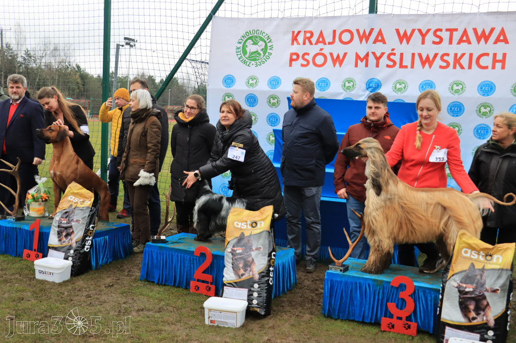 Krajowa Wystawa Psów Myśliwskich - Gniazdów g. Koziegłowy cz. 2
