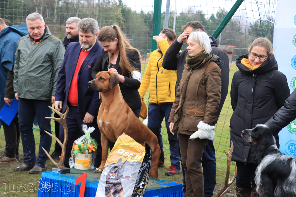 Krajowa Wystawa Psów Myśliwskich - Gniazdów g. Koziegłowy cz. 2