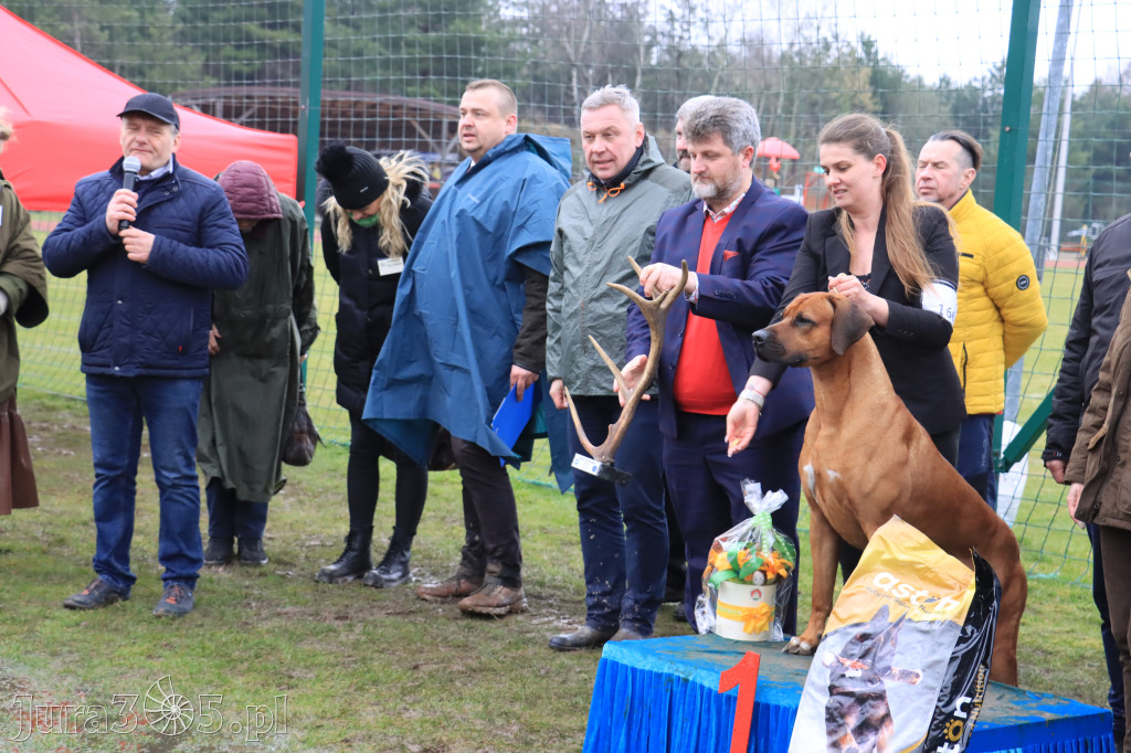 Krajowa Wystawa Psów Myśliwskich - Gniazdów g. Koziegłowy cz. 2