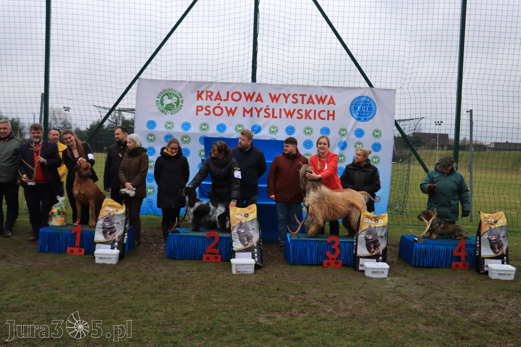 Krajowa Wystawa Psów Myśliwskich - Gniazdów g. Koziegłowy cz. 2