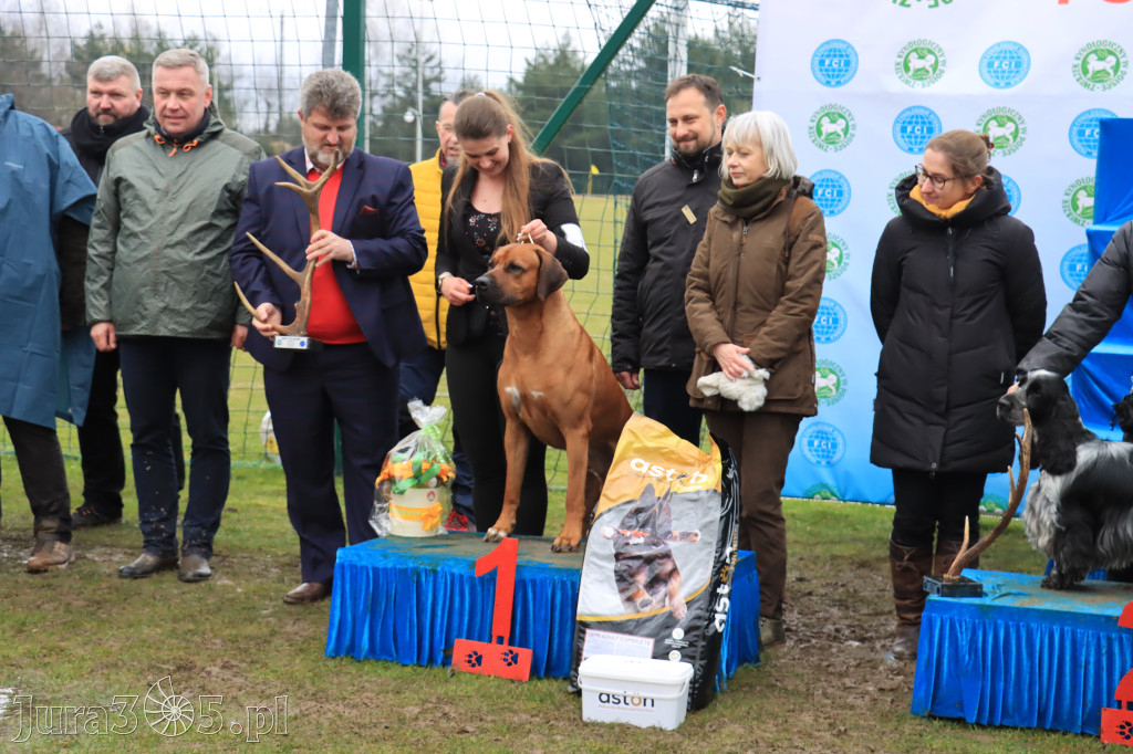 Krajowa Wystawa Psów Myśliwskich - Gniazdów g. Koziegłowy cz. 2