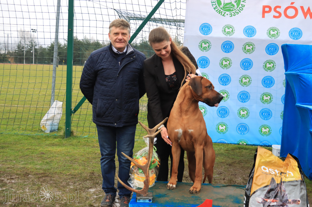 Krajowa Wystawa Psów Myśliwskich - Gniazdów g. Koziegłowy cz. 2