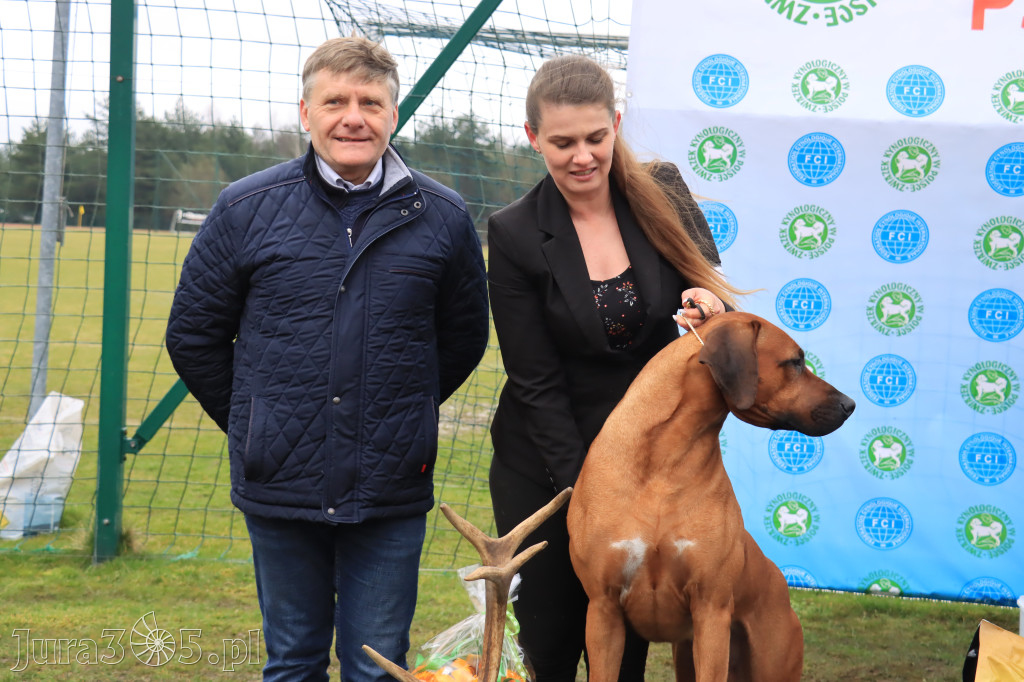 Krajowa Wystawa Psów Myśliwskich - Gniazdów g. Koziegłowy cz. 2