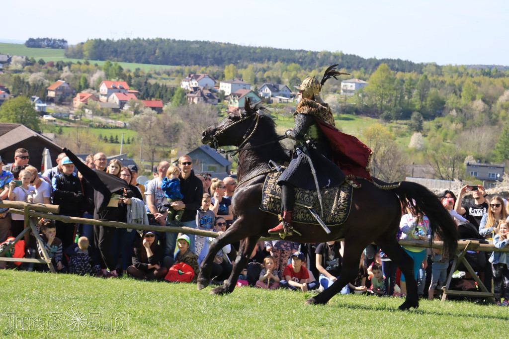 Fotorelacja: Pokazy Konne ,,Husaria - skrzydlaci rycerze