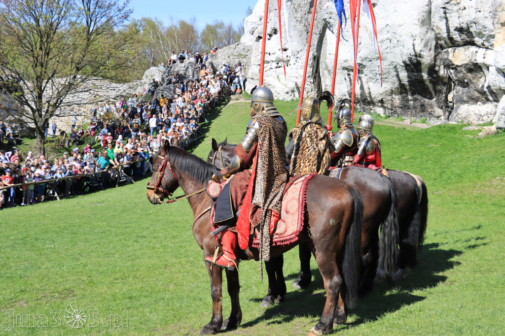 Fotorelacja: Pokazy Konne ,,Husaria - skrzydlaci rycerze