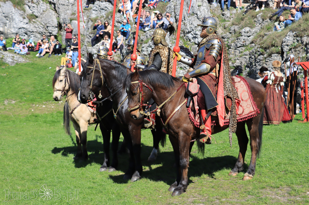 Fotorelacja: Pokazy Konne ,,Husaria - skrzydlaci rycerze