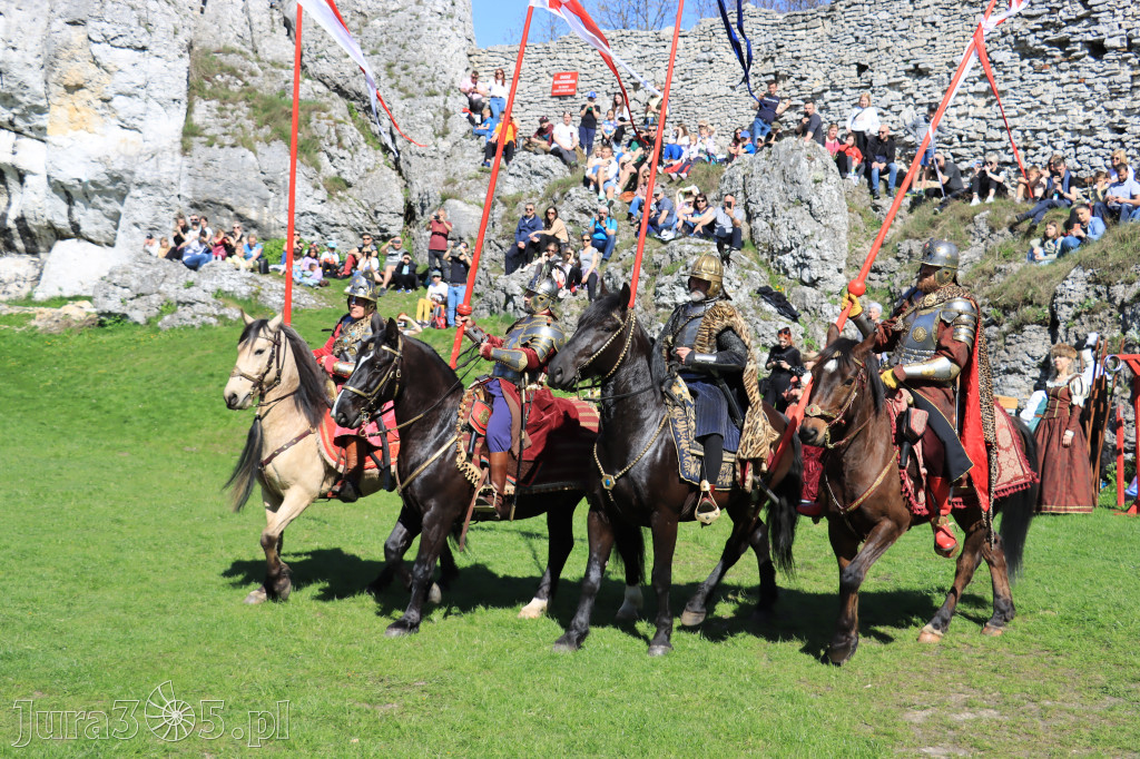 Fotorelacja: Pokazy Konne ,,Husaria - skrzydlaci rycerze