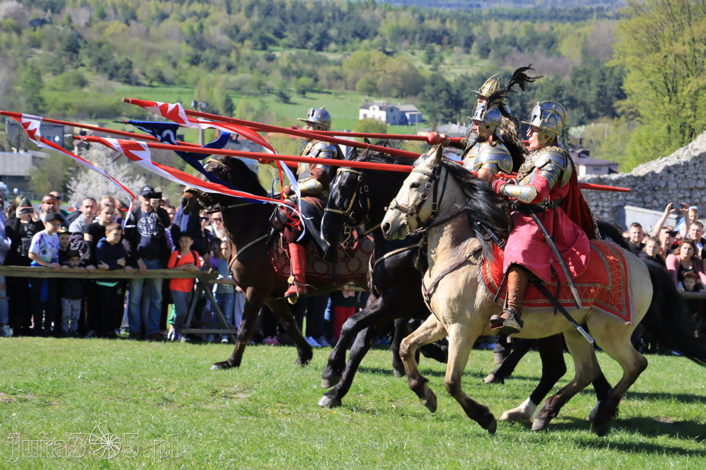 Fotorelacja: Pokazy Konne ,,Husaria - skrzydlaci rycerze