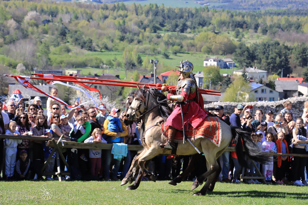 Fotorelacja: Pokazy Konne ,,Husaria - skrzydlaci rycerze