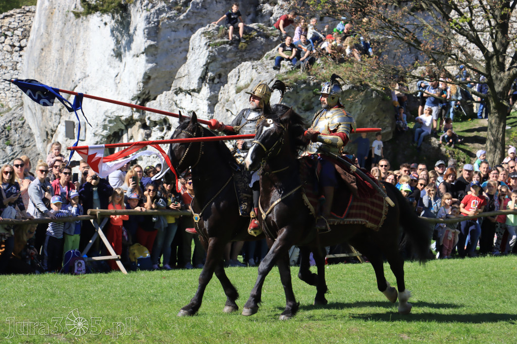 Fotorelacja: Pokazy Konne ,,Husaria - skrzydlaci rycerze