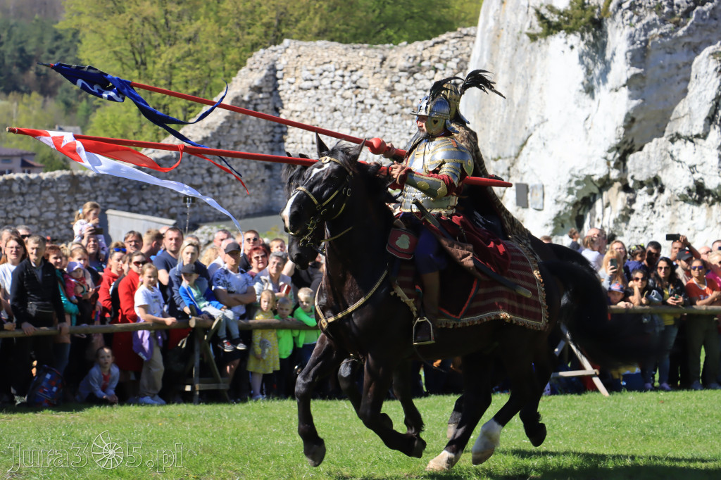 Fotorelacja: Pokazy Konne ,,Husaria - skrzydlaci rycerze