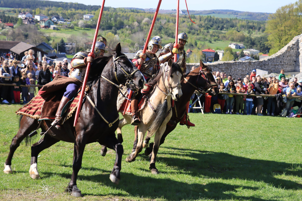 Fotorelacja: Pokazy Konne ,,Husaria - skrzydlaci rycerze