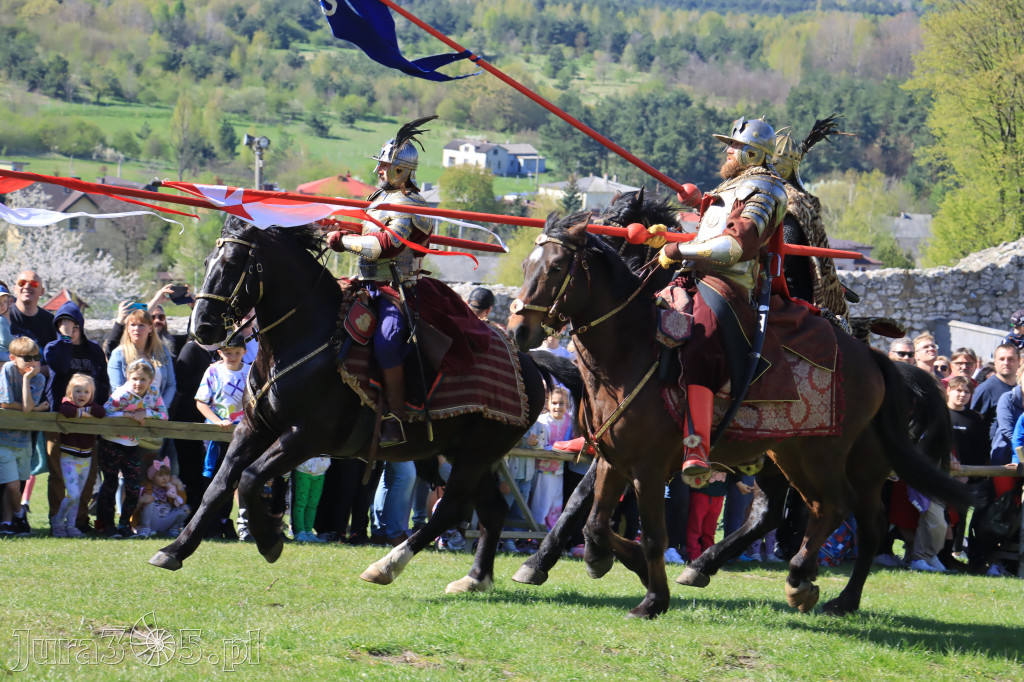 Fotorelacja: Pokazy Konne ,,Husaria - skrzydlaci rycerze