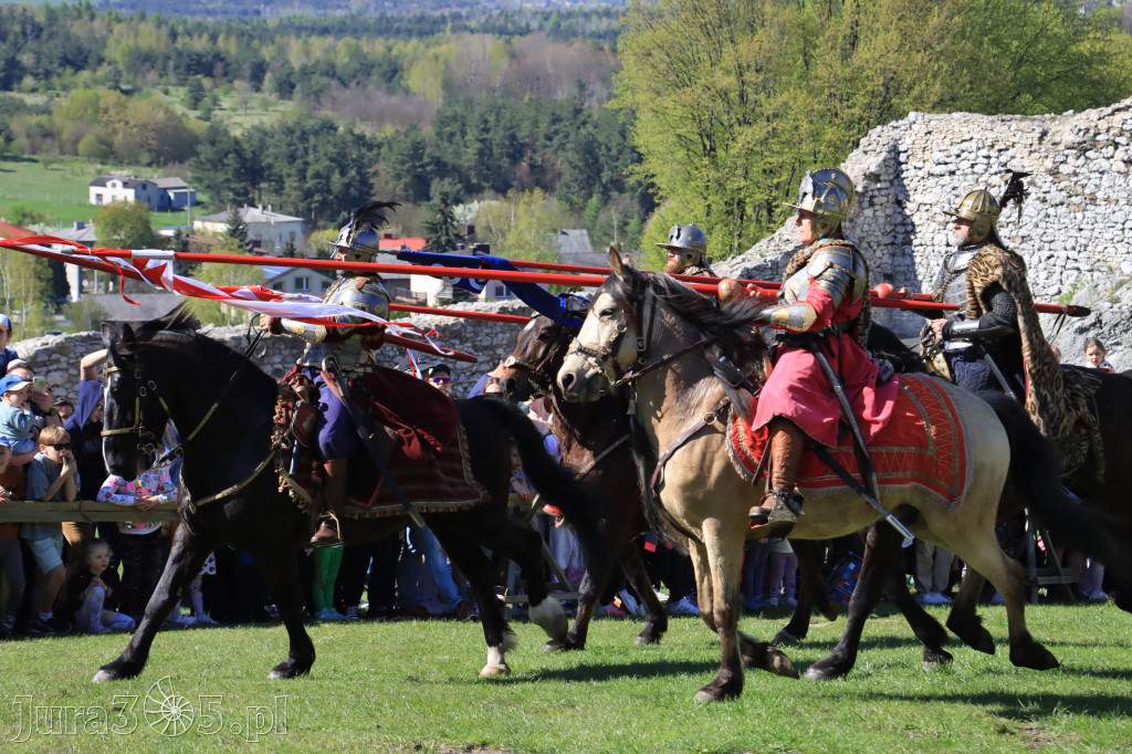 Fotorelacja: Pokazy Konne ,,Husaria - skrzydlaci rycerze