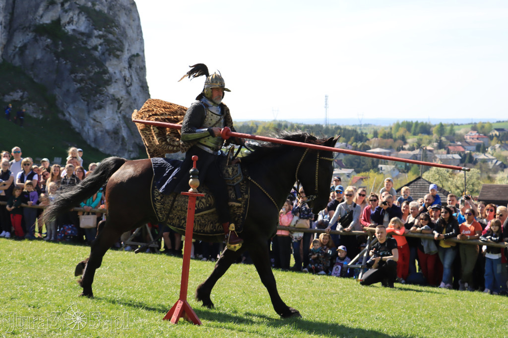 Fotorelacja: Pokazy Konne ,,Husaria - skrzydlaci rycerze