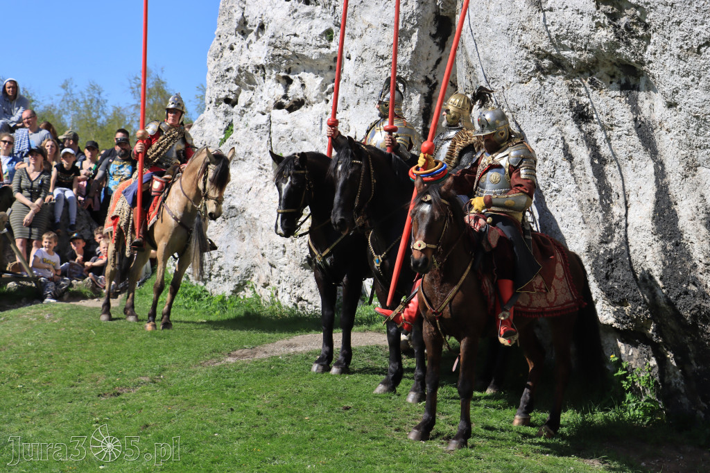 Fotorelacja: Pokazy Konne ,,Husaria - skrzydlaci rycerze
