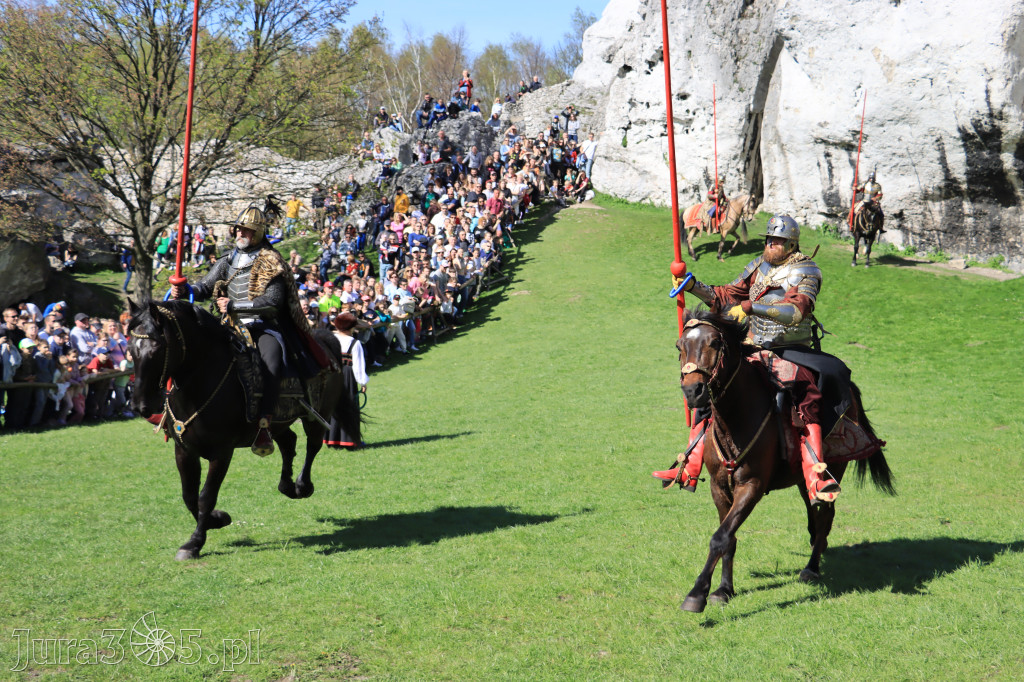 Fotorelacja: Pokazy Konne ,,Husaria - skrzydlaci rycerze