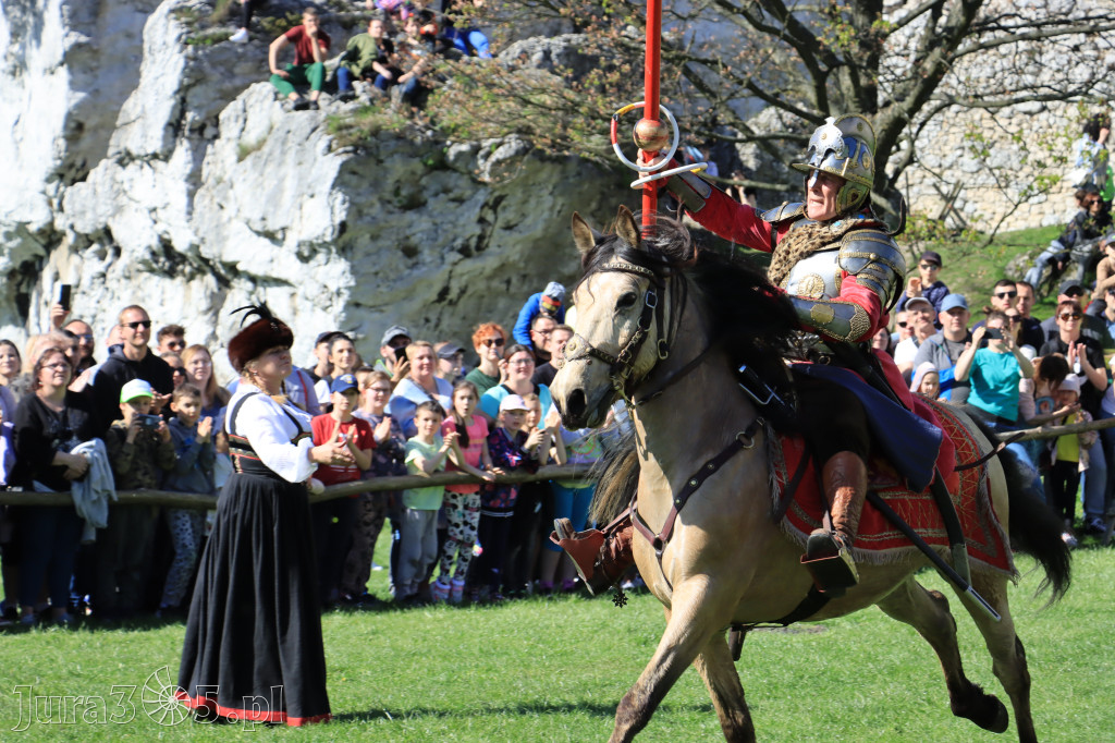 Fotorelacja: Pokazy Konne ,,Husaria - skrzydlaci rycerze
