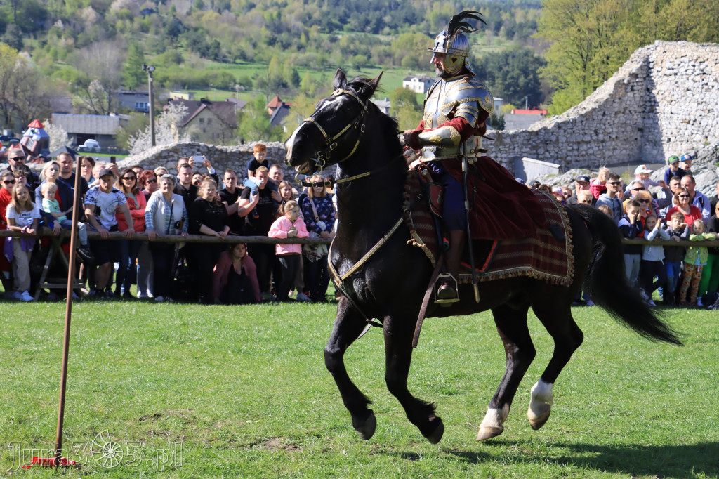 Fotorelacja: Pokazy Konne ,,Husaria - skrzydlaci rycerze