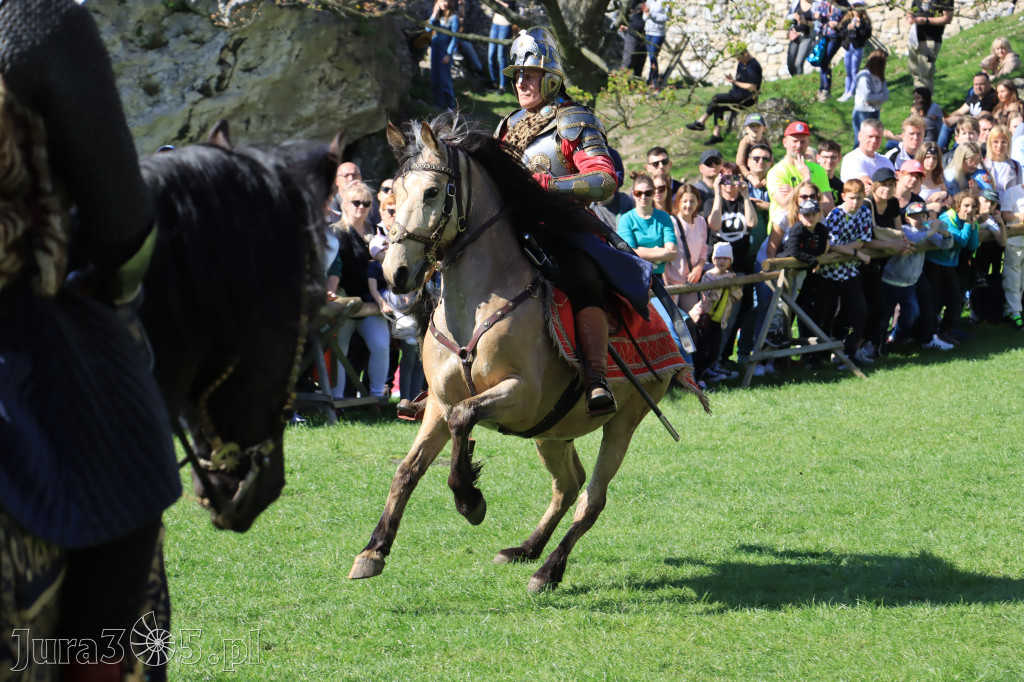 Fotorelacja: Pokazy Konne ,,Husaria - skrzydlaci rycerze