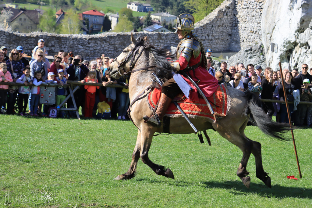 Fotorelacja: Pokazy Konne ,,Husaria - skrzydlaci rycerze
