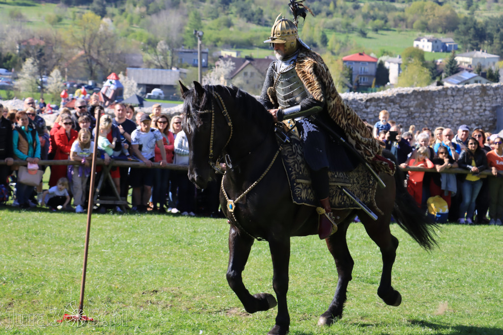 Fotorelacja: Pokazy Konne ,,Husaria - skrzydlaci rycerze