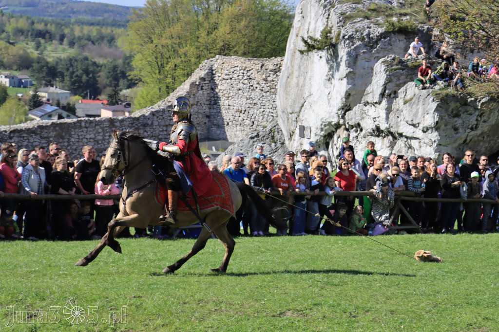 Fotorelacja: Pokazy Konne ,,Husaria - skrzydlaci rycerze