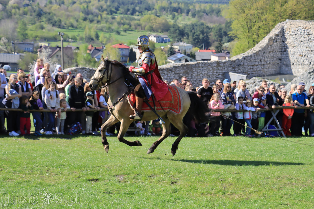 Fotorelacja: Pokazy Konne ,,Husaria - skrzydlaci rycerze
