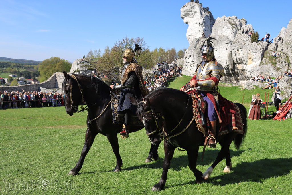 Fotorelacja: Pokazy Konne ,,Husaria - skrzydlaci rycerze