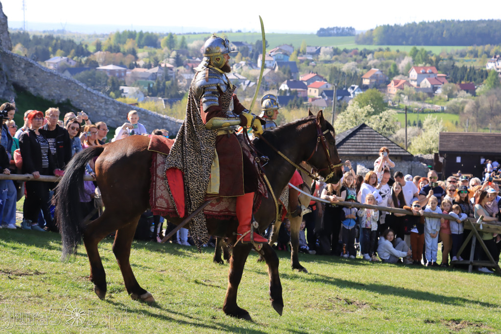 Fotorelacja: Pokazy Konne ,,Husaria - skrzydlaci rycerze