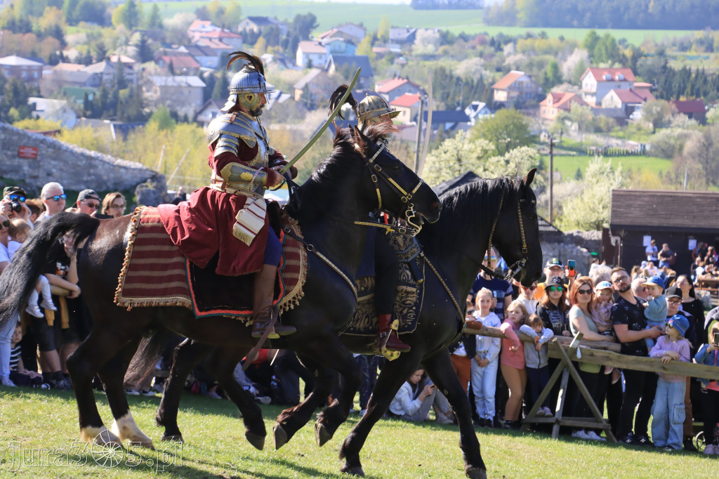 Fotorelacja: Pokazy Konne ,,Husaria - skrzydlaci rycerze