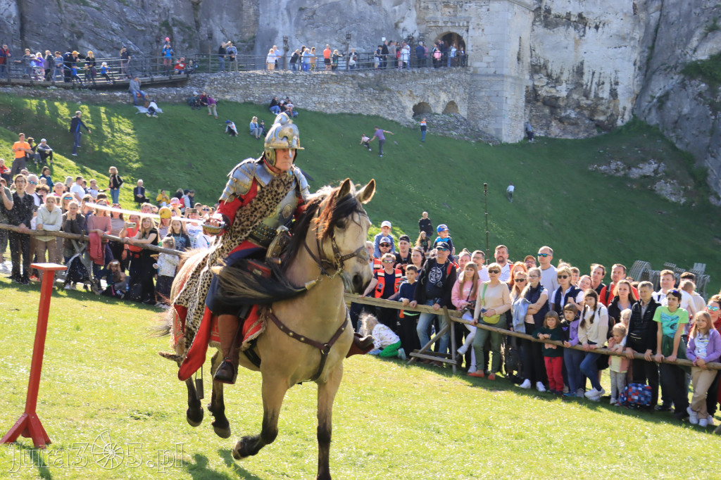 Fotorelacja: Pokazy Konne ,,Husaria - skrzydlaci rycerze