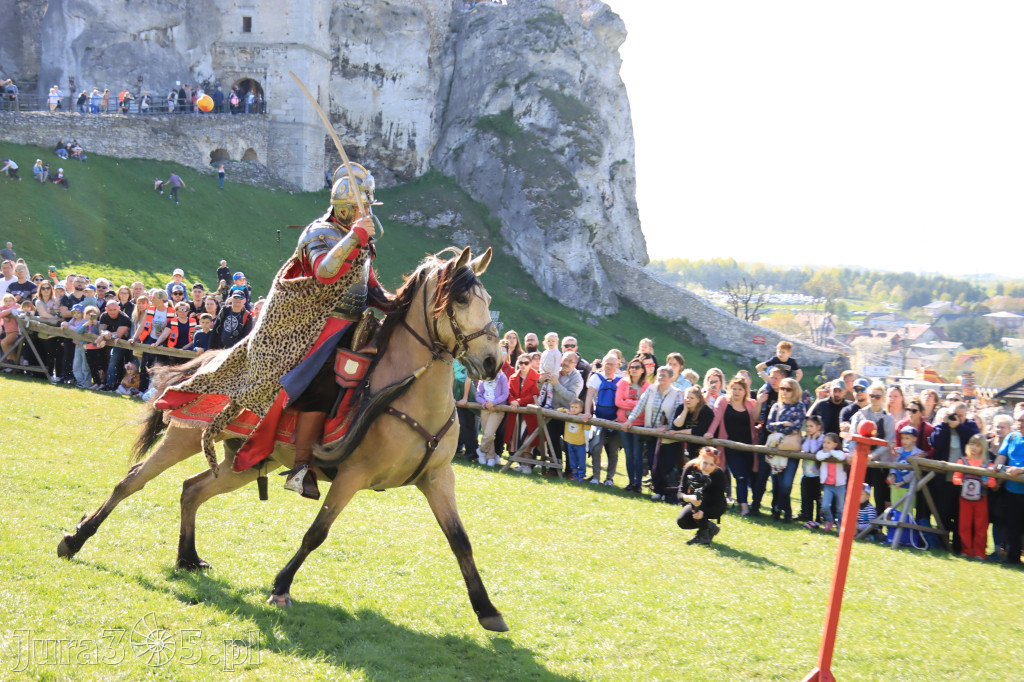 Fotorelacja: Pokazy Konne ,,Husaria - skrzydlaci rycerze